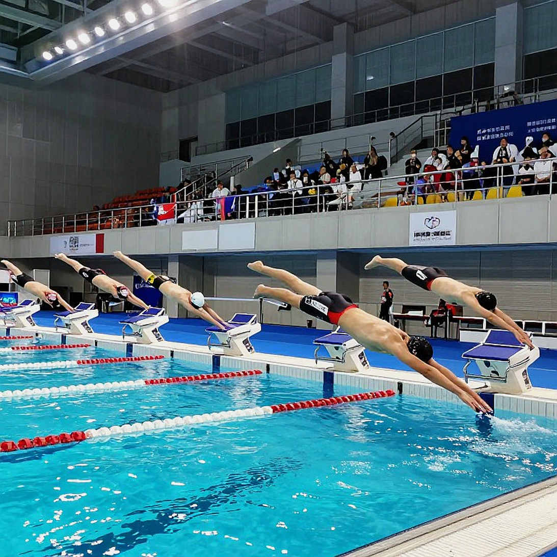 45,61 giây và bài học về ranh giới: Gui Caribe phá kỷ lục giải José Finkel Trophy, nhưng cơ thể anh ấy đang nói điều gì?