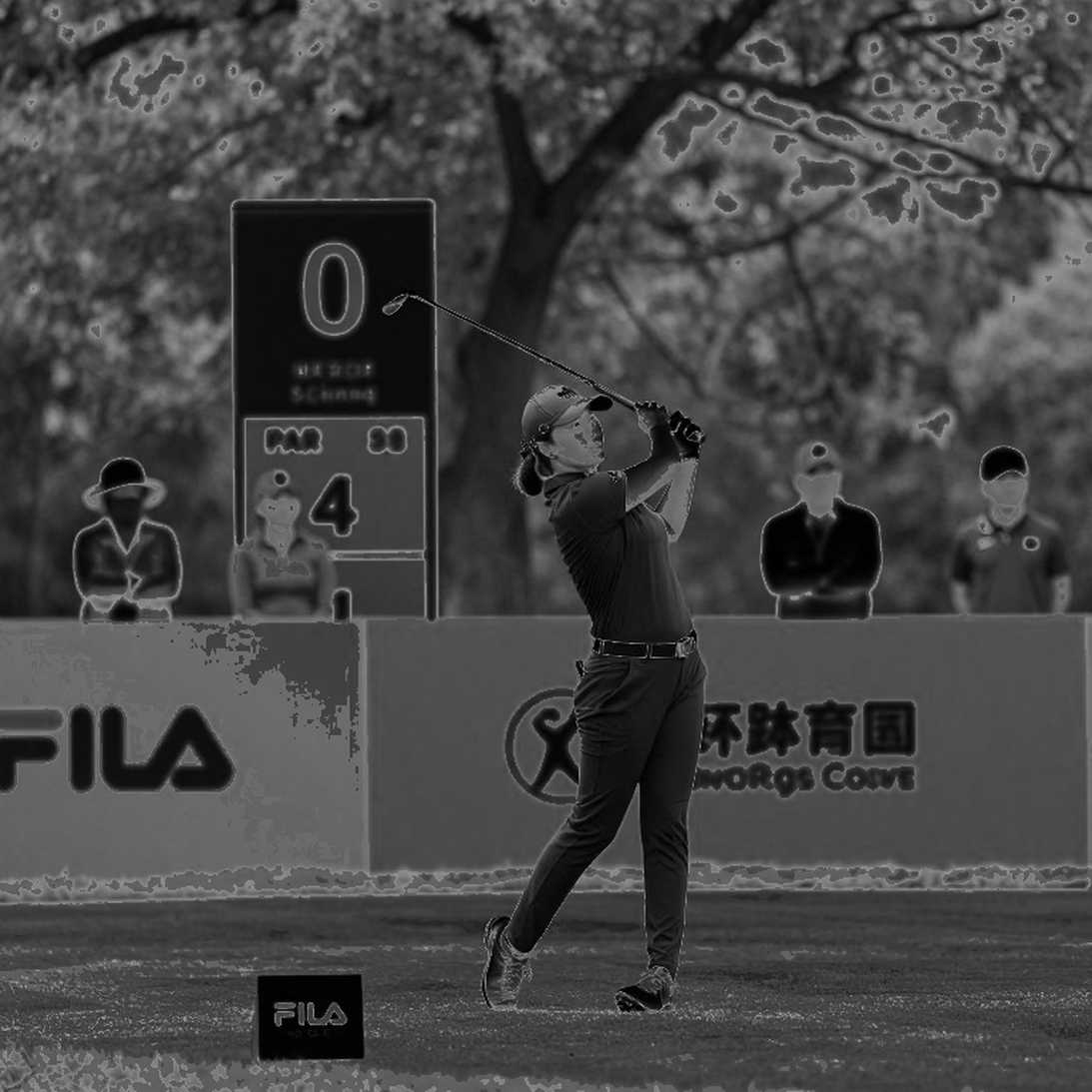 Khi dữ liệu golf im lặng: Bài học từ một bản phân tích trống rỗng