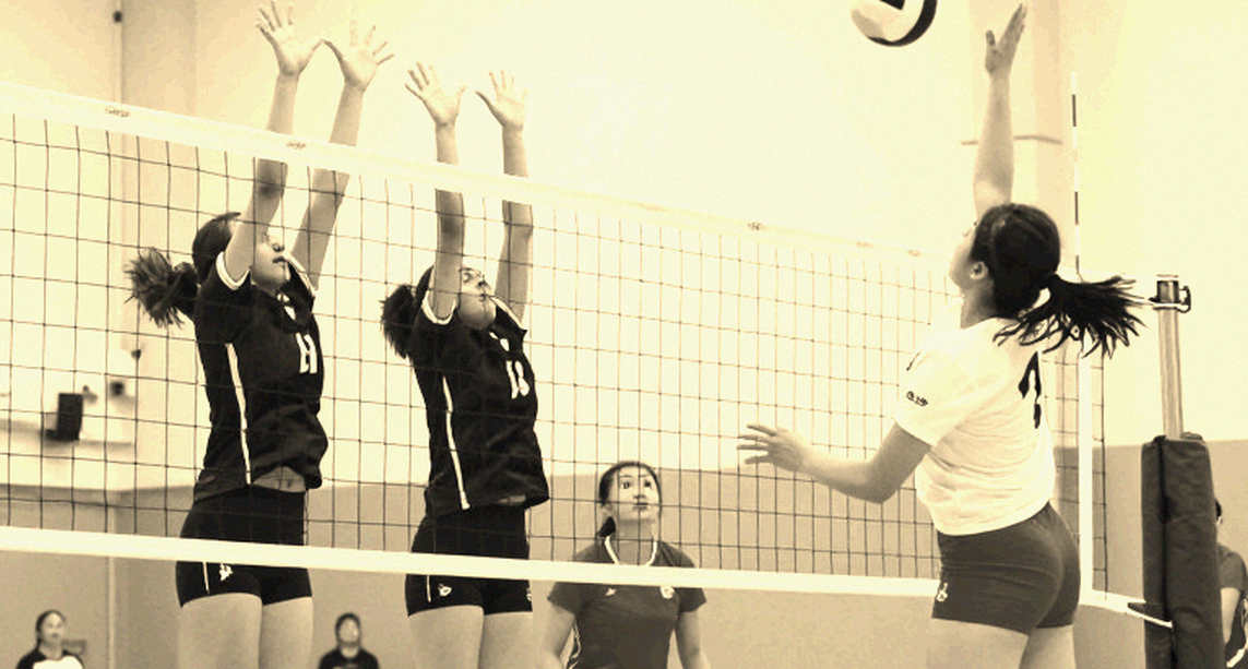 Reading Injury Files Inside the Volleyball Transfer Window: When an MRI Decides an Outside Hitter's Price