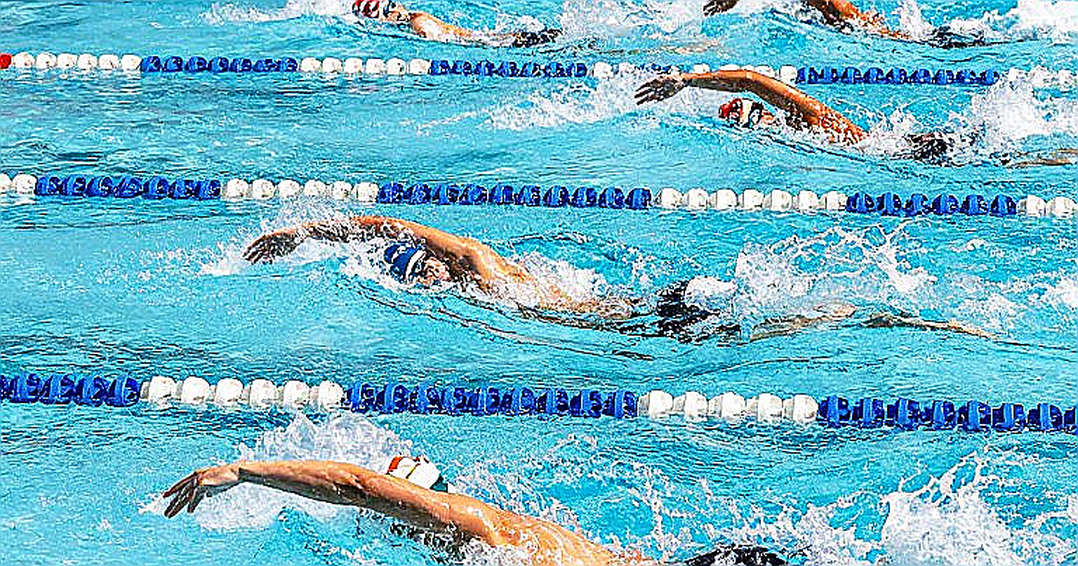 ASCA World Clinic 2026: Khi nền tảng huấn luyện bơi lội Mỹ đứng trước ngã rẽ lịch sử